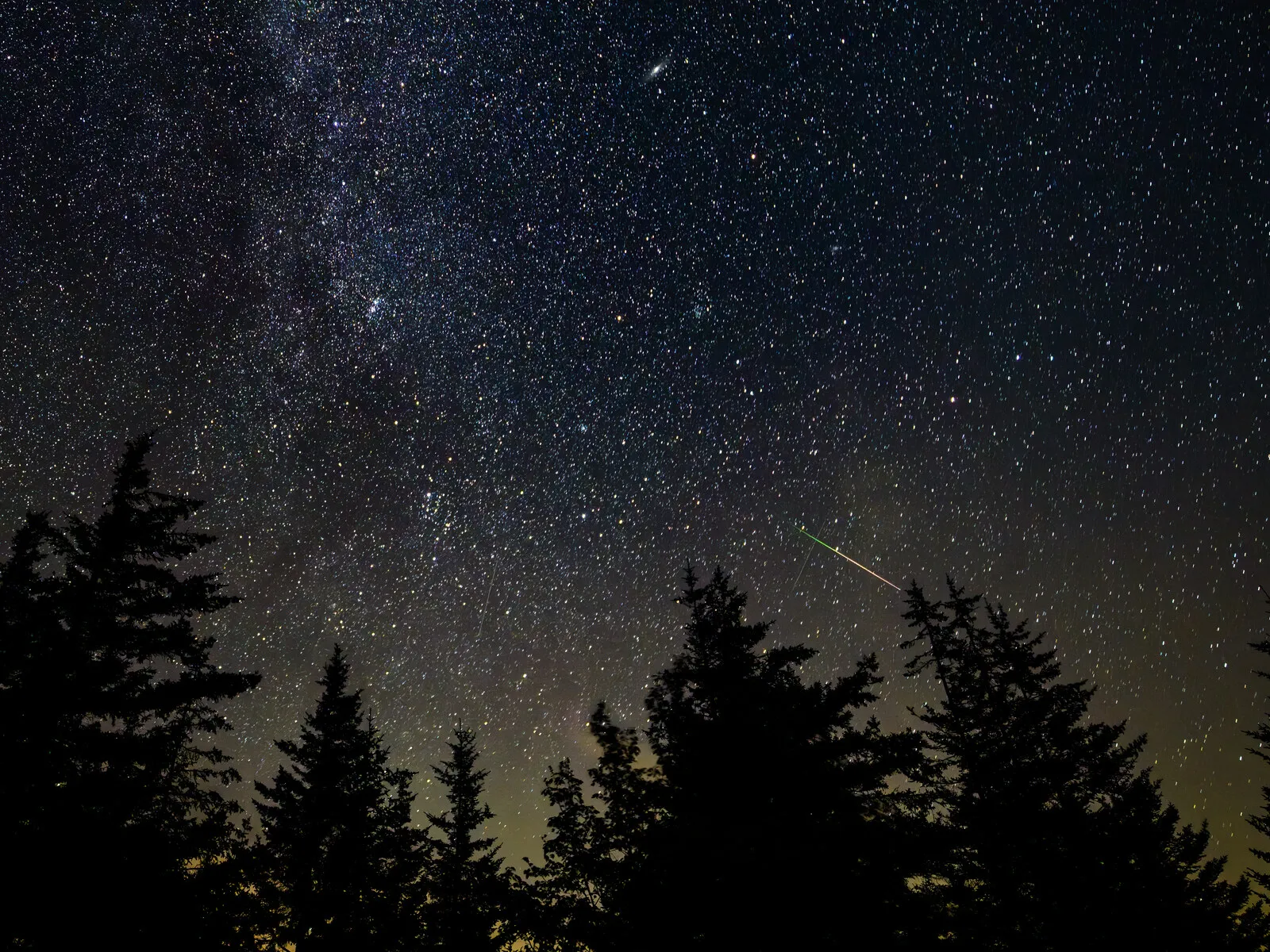 Perseid meteor streaking across a star-filled night sky above pine trees