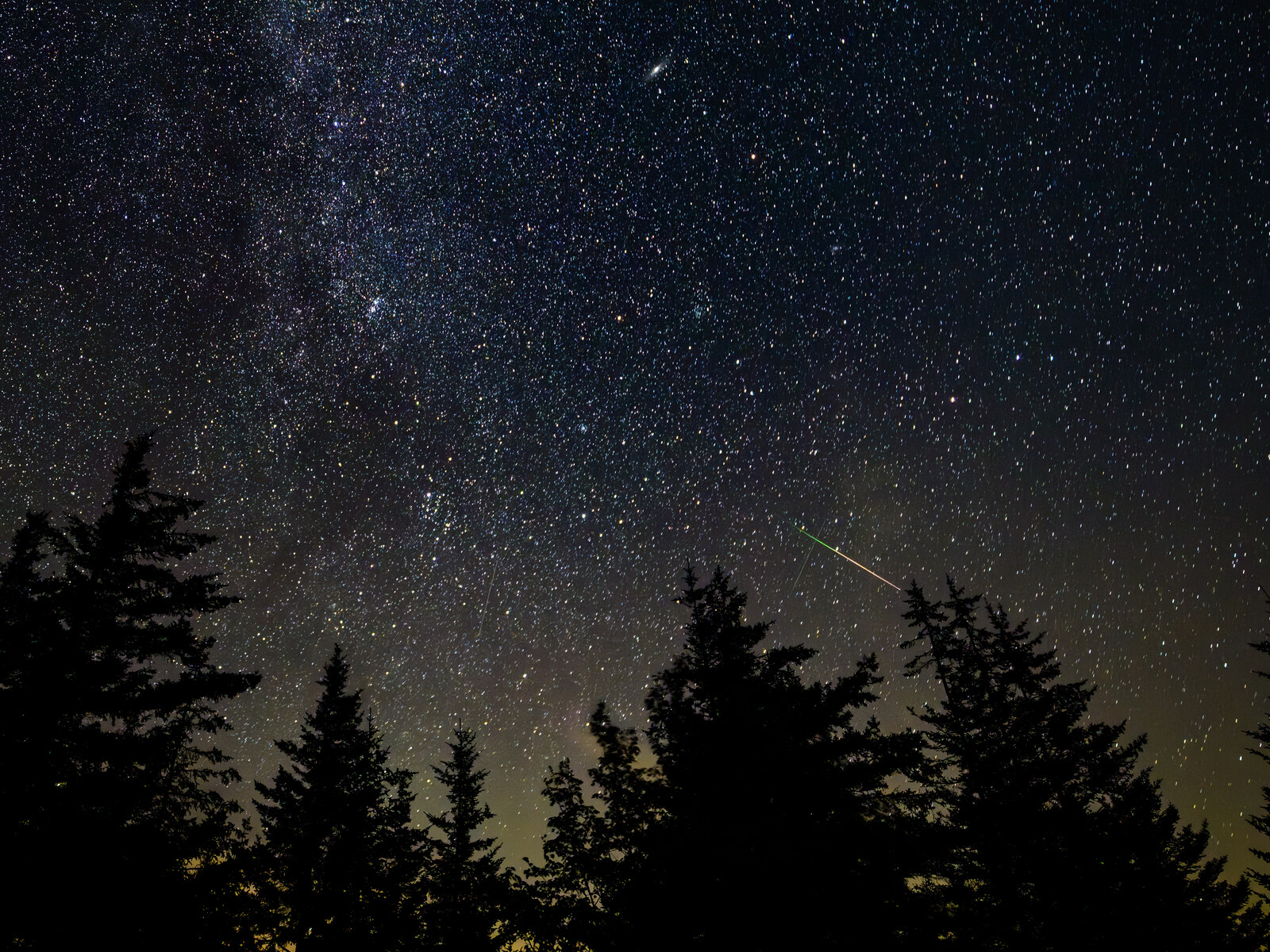 Perseid meteor streaking across a star-filled night sky above pine trees